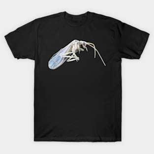 Dustywing (Coniopterygidae) T-Shirt